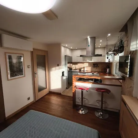 公寓 Cozy 1 Flat With Sauna