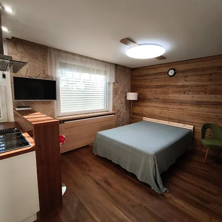 Apartmán Cozy 1 Flat With Sauna *